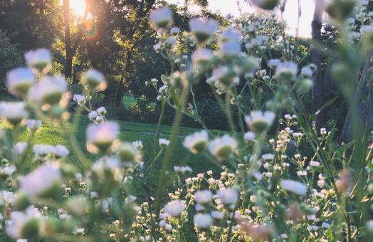 The 10 biggest garden trends for 2021 according to Instagram